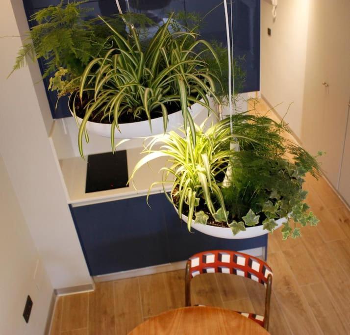 Apartamento Por Temporada Centro Diseno Madrid Luaran gambar